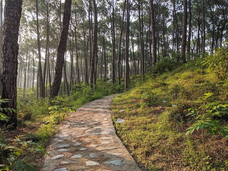 Hamirpur Children park - Hamirpur District, Himachal Pradesh, India - Image 2