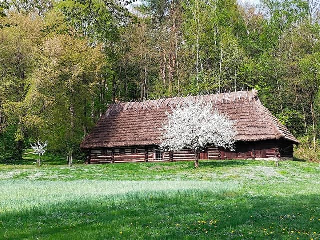 Jednobudynkowa zagroda tkacka z Korczyny, pow. krośnieński (1790) - Image 1
