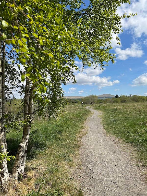 Knockshinnoch Lagoons Scottish Wildlife Trust Car Park - Image 1
