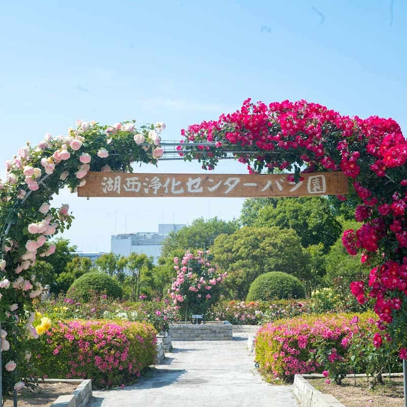 湖西浄化センターバラ園 - Image 1