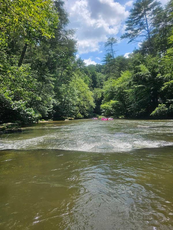 Cartecay River Experience-River Left - Image 3