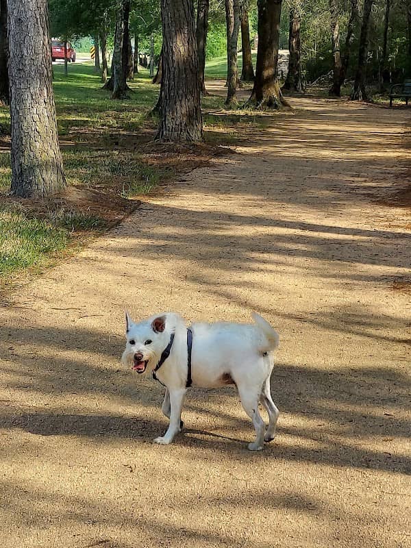 Kipper Mease Walking Path - Image 1