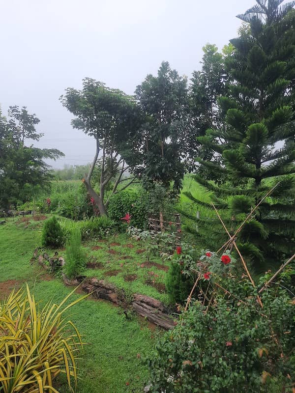 สวนตาก้านปากช่อง - Image 1