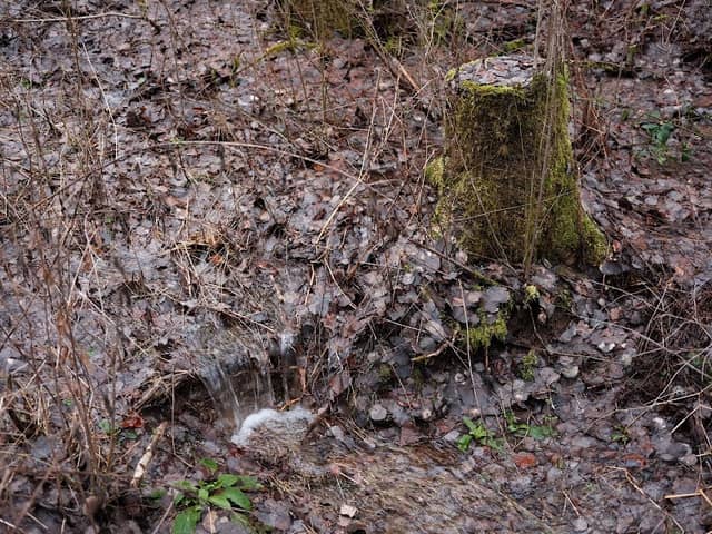 Ochsenbacher Wasserfälle - Image 1