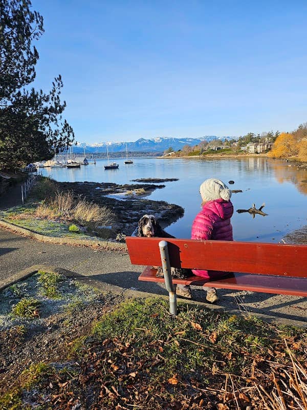 Comox Marina Bench - Image 1