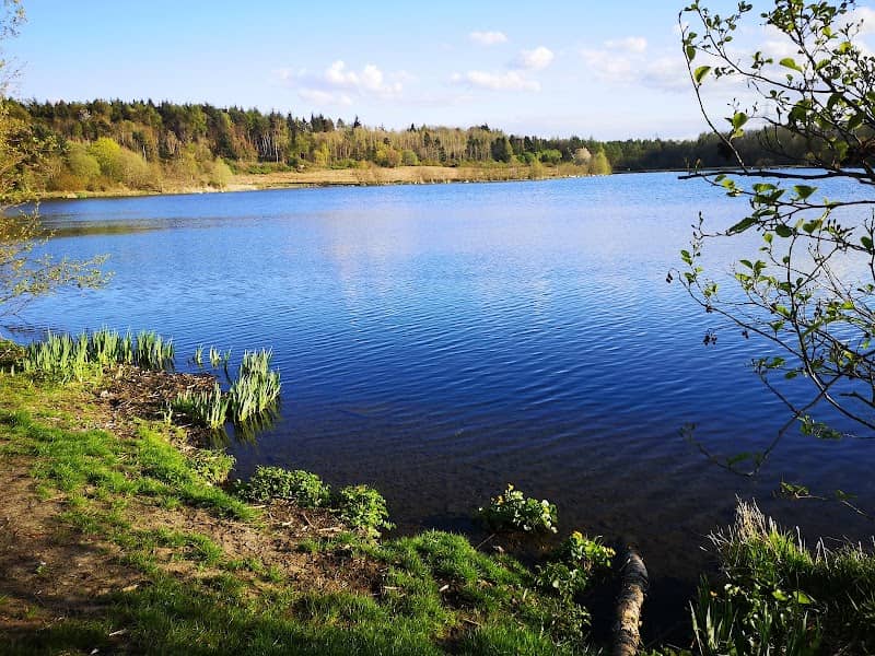 Broadwood Loch - Image 1