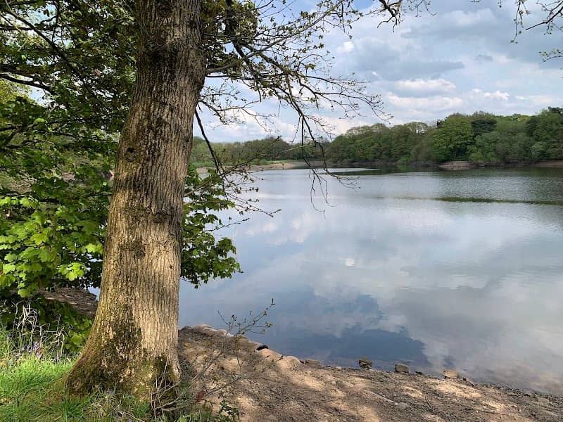 Worthington Lakes Country Park - Image 1