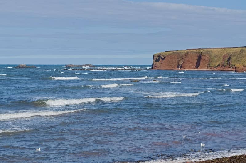 Glebe Viewpoint - Image 2