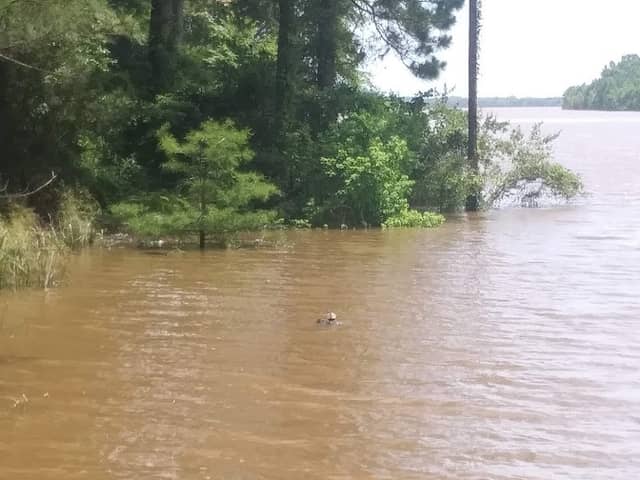 Montgomery Recreation Area - Image 2