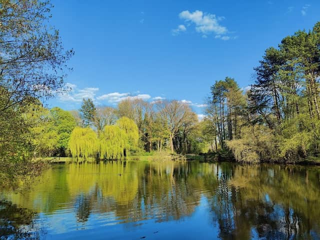 Burgdorf Park - Image 1