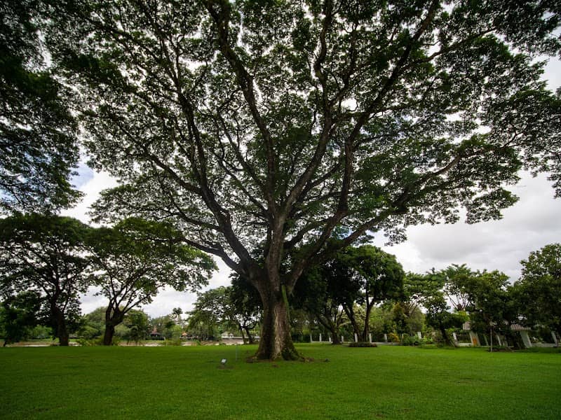 Laongkwamsuk ละอองความสุข - Image 2