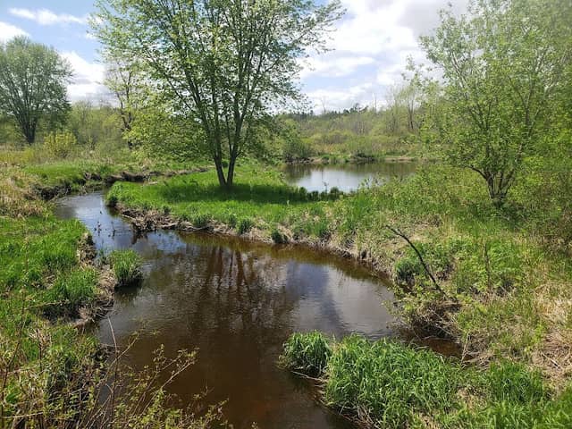 Cylon State Wildlife Area - Image 3