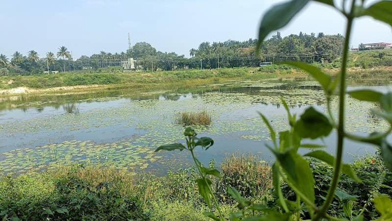 Dyavalingaiahnapalya lake - Image 1