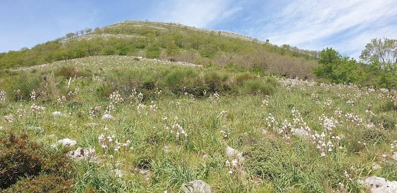 Croce di Pezzano - Image 1