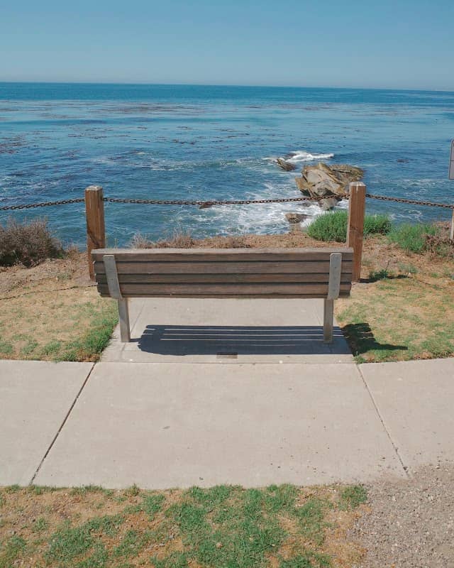 Eldwayen bench - Image 2