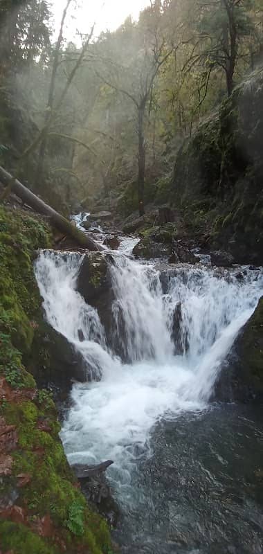 Columbia River Gorge - Image 2