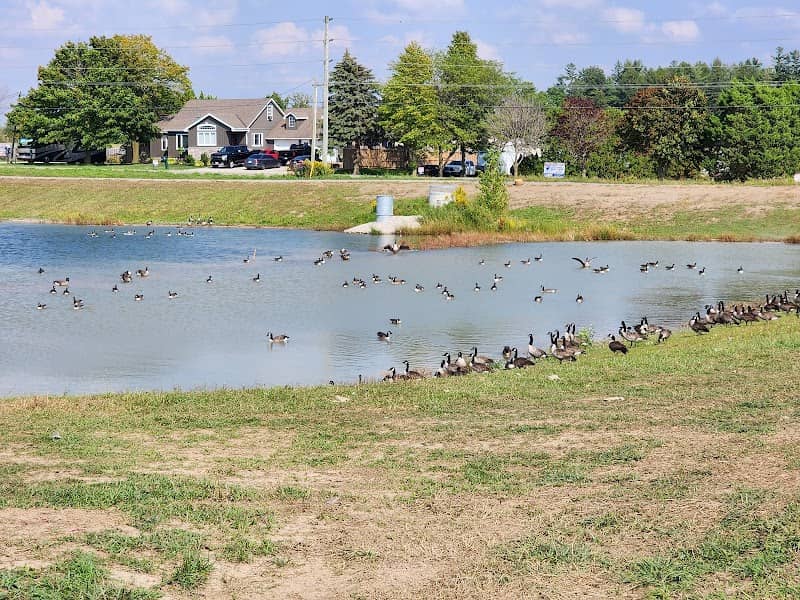 Orchard Park - Image 1