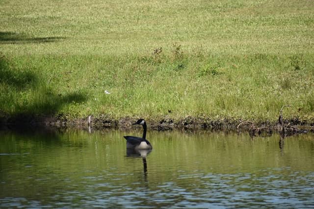 Fletcher memorial park - Image 2