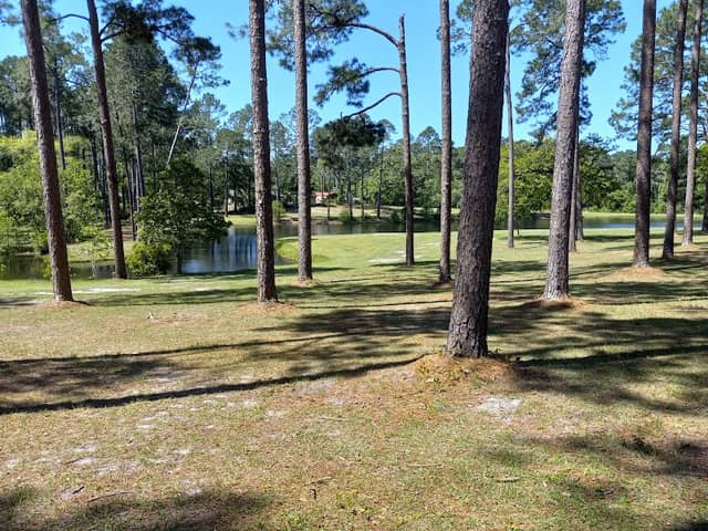 Fletcher memorial park - Image 1