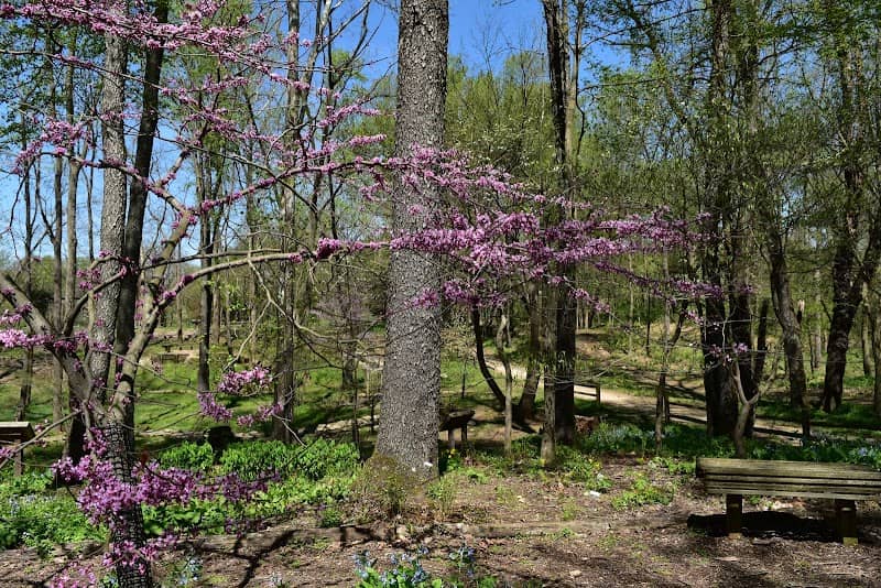 Creasey Mahan Nature Preserve - Image 2