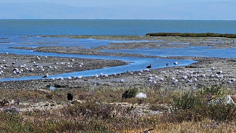 Public Shore Parking - Image 1