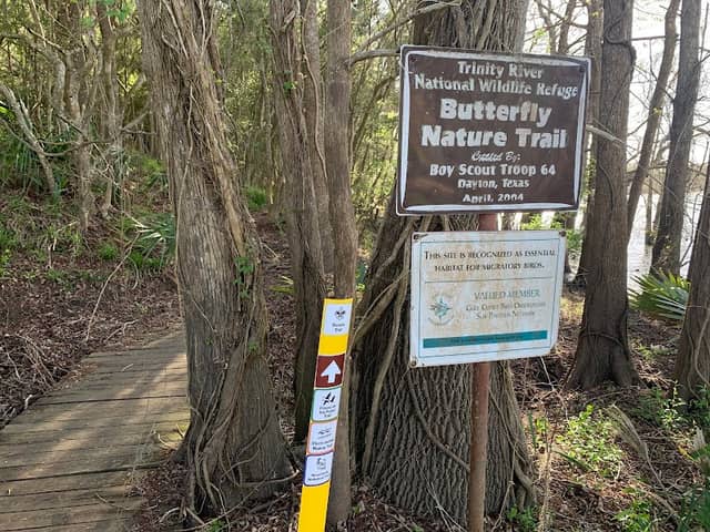Butterfly Garden - Image 1