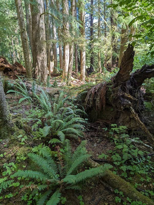 Circle Creek Conservation Center - Image 1