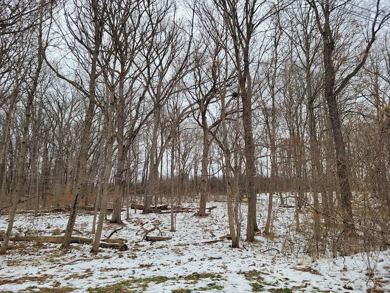 Anderson Woods Forest Preserve - Image 1