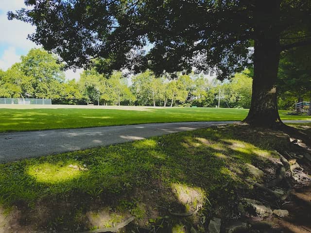 Bentleyville Richardson Park - Image 1