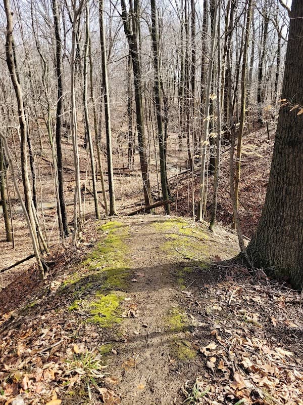 Forrest Nature Preserve - Image 1