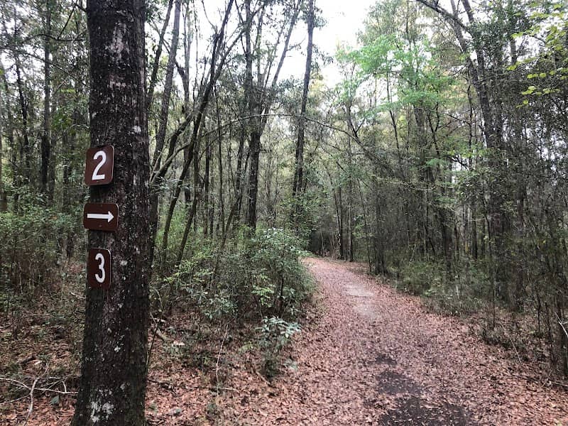Campsite #32 - Image 1