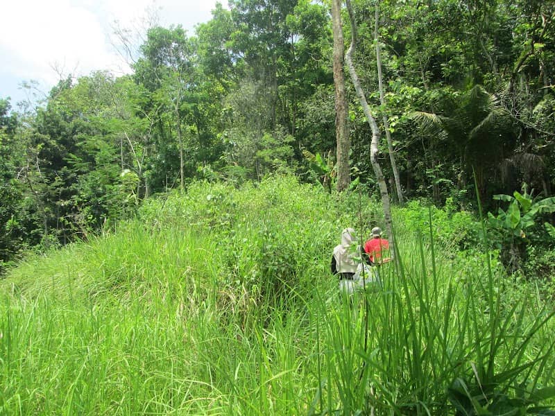 Borobudur Trekking - Image 2