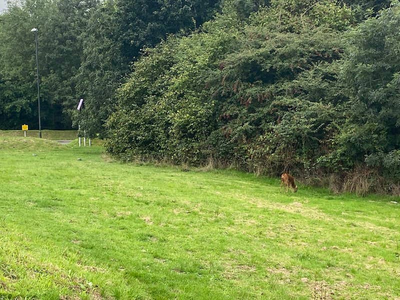 Hawth Woods - Image 1