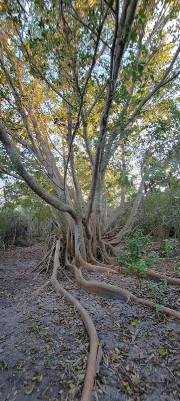 Samsons Island Nature Park - Image 1