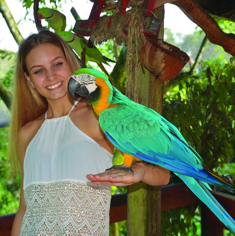 Birdworld Kuranda - Image 1