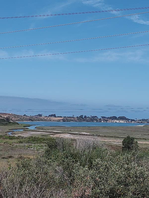 Agua Hedionda Lagoon Foundation (Discovery Center) - Image 2