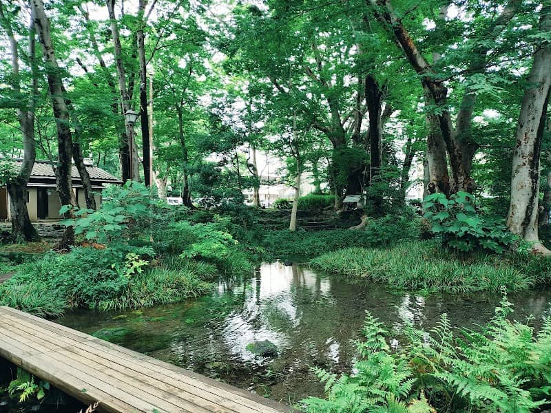 Shirataki Park - Image 1