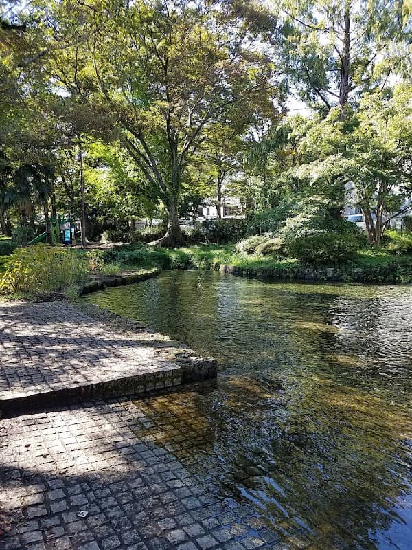Shirataki Park - Image 2