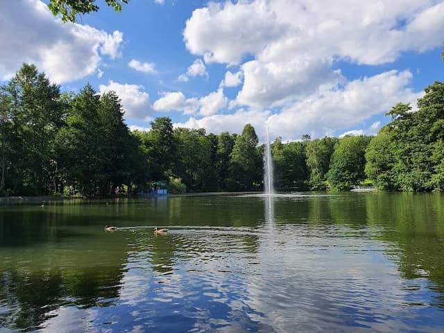 Stadt Park - Image 1