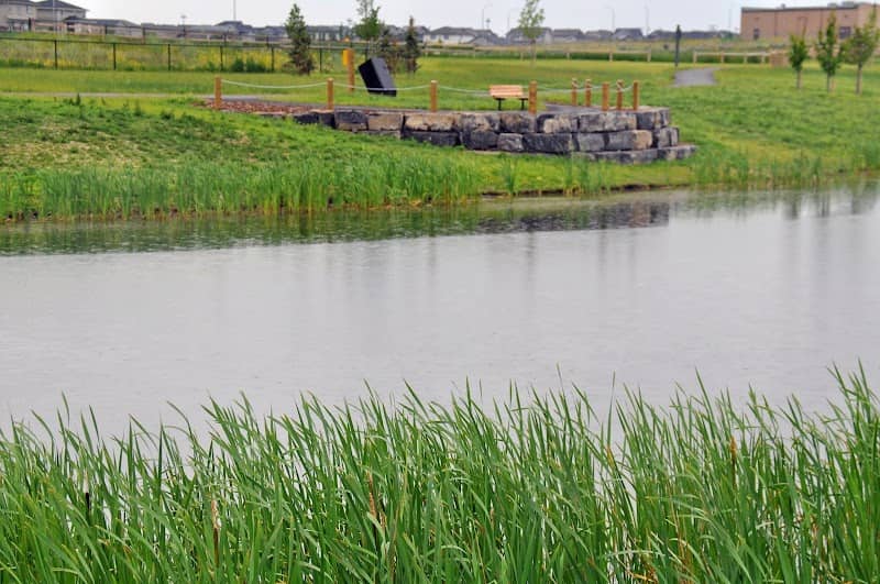 Joe Meszaros Park - Image 2