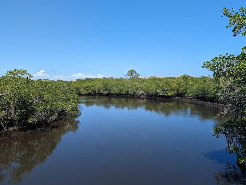 Jupiter Ridge Natural Area - Image 3