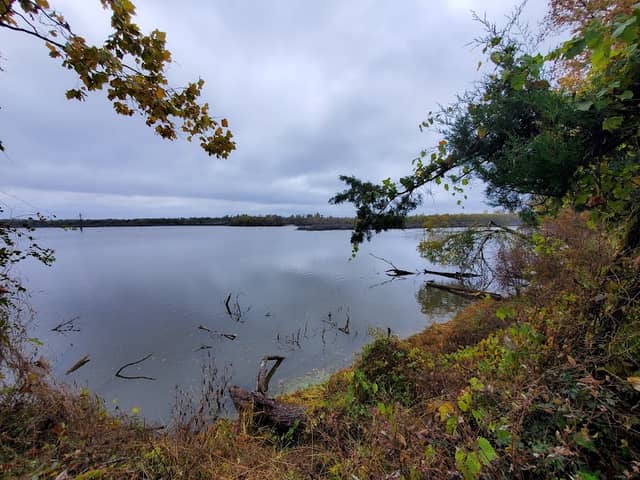 Red River National Wildlife Refuge - Spanish Lake Lowlands Unit - Image 2