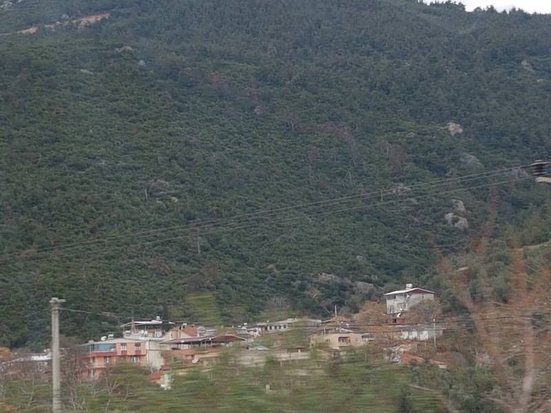 Park - Image 1
