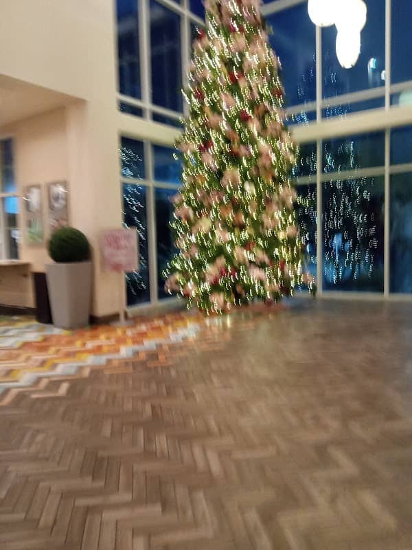 Island View Casino - Image 2