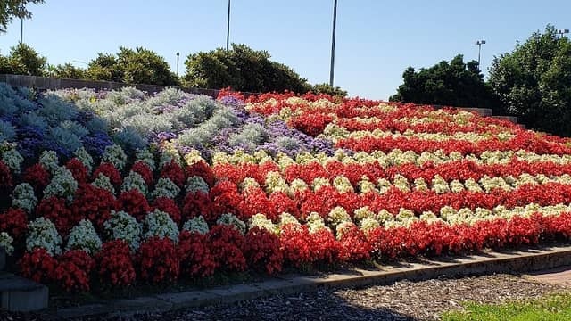 Hawn Creek Gardens - Image 2