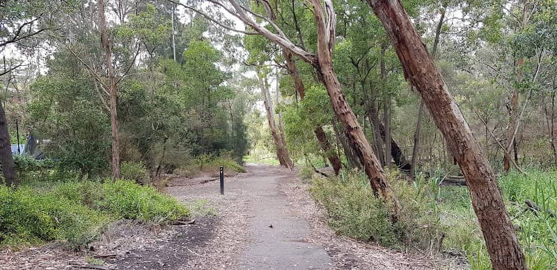 Northern Waterways - Image 1