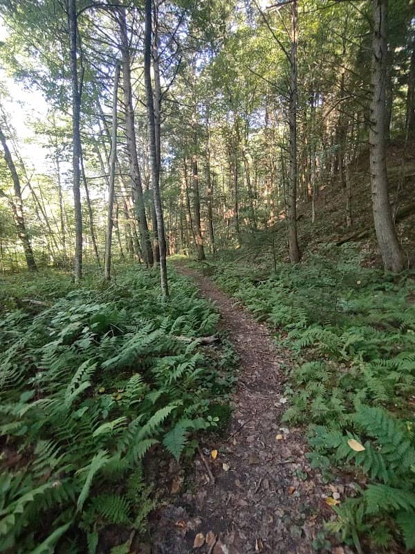 Paradise Park Parking Area and Trailheads - Image 2