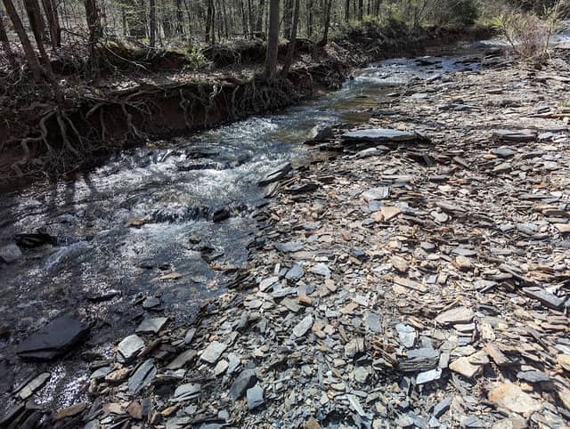 DeSoto Nature Trail & DeSoto Spillway Trail - Image 2