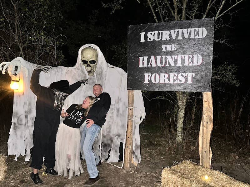 Haunted Forest CA - Image 1