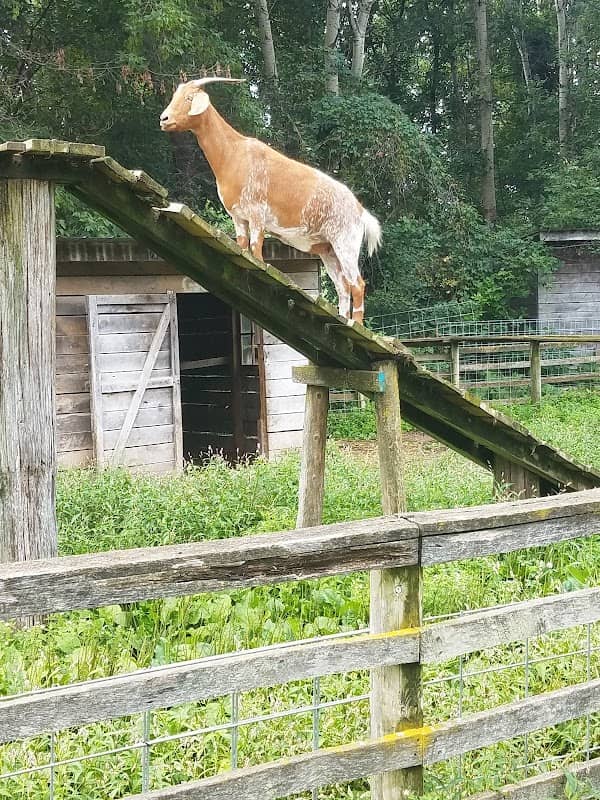 Concord Zoo - Image 1